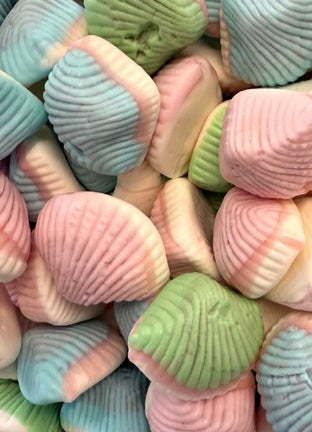 JF Seashells
