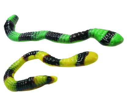 Anaconda Snakes