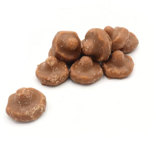 Chocolate Covered Mushrooms